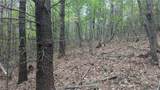 1501 Buckwheat Road - Photo 44