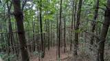 1501 Buckwheat Road - Photo 47
