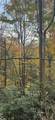 Lot E-15 Laurel Ridge Road - Photo 4