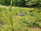 1305 Piney Grove Road - Photo 4