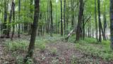 TBD Scout Road - Photo 17