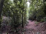 TBD Scout Road - Photo 18