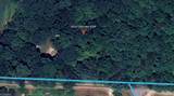 6854 Elkin Highway 268 - Photo 2