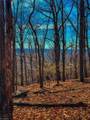 1644 Sierra Trace Road - Photo 12