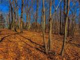 1644 Sierra Trace Road - Photo 13