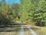 TBD2 Scout Road - Photo 5
