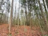 TBD Shumate Mountain Road - Photo 6