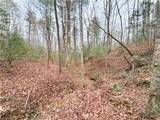 TBD Shumate Mountain Road - Photo 7
