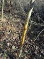 TBD Rock Creek Ch Road - Photo 36