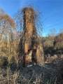 TBD Rock Creek Ch Road - Photo 37