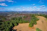 339 Stillhouse Branch Road - Photo 39