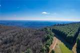339 Stillhouse Branch Road - Photo 41