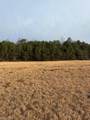 10.29 +/- acres Pine Street - Photo 6