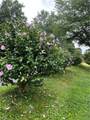 2848 Trent Street - Photo 21