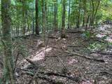 0 Rainbow Trout Drive - Photo 14