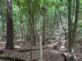 0 Rainbow Trout Drive - Photo 15