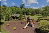7751 Sutter Road - Photo 1
