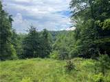 TBD Staghorn Road - Photo 7
