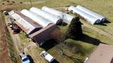 8660 Austin Traphill Road - Photo 12