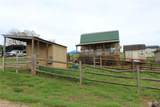 105 Filly Trail - Photo 36