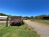 105 Filly Trail - Photo 5