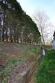 525 Highland Park Drive - Photo 2