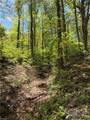 Lot#28 Bluff Ridge Road - Photo 4