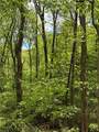 Lot#28 Bluff Ridge Road - Photo 6
