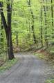 Lot#28 Bluff Ridge Road - Photo 7