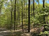 Lot#28 Bluff Ridge Road - Photo 8