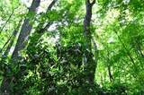 00 Hilltop View Lane - Photo 23