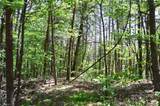 00 Hilltop View Lane - Photo 7