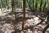 00 Hilltop View Lane - Photo 8