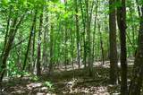 00 Hilltop View Lane - Photo 9