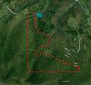 1010-1372 Hanging Rock Park Road - Photo 18