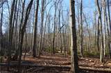 1010-1372 Hanging Rock Park Road - Photo 2