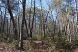 1010-1372 Hanging Rock Park Road - Photo 5