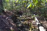 1010-1372 Hanging Rock Park Road - Photo 9