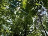 0000 Ashe View Drive - Photo 11