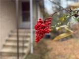2319 Albright Drive - Photo 4