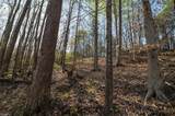 Lot 38 Lake Shore Drive - Photo 18