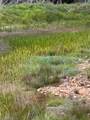 TBD Fraser Road - Photo 16