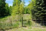 48.48 Acres Valley Road - Photo 11