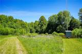 48.48 Acres Valley Road - Photo 17