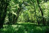 48.48 Acres Valley Road - Photo 24