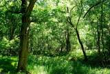 48.48 Acres Valley Road - Photo 25
