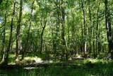 48.48 Acres Valley Road - Photo 26