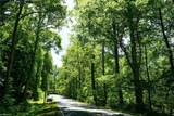 48.48 Acres Valley Road - Photo 9
