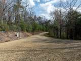 0 Chestnut Mountain Farms Parkway - Photo 11