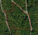 0 Chestnut Mountain Farms Parkway - Photo 12